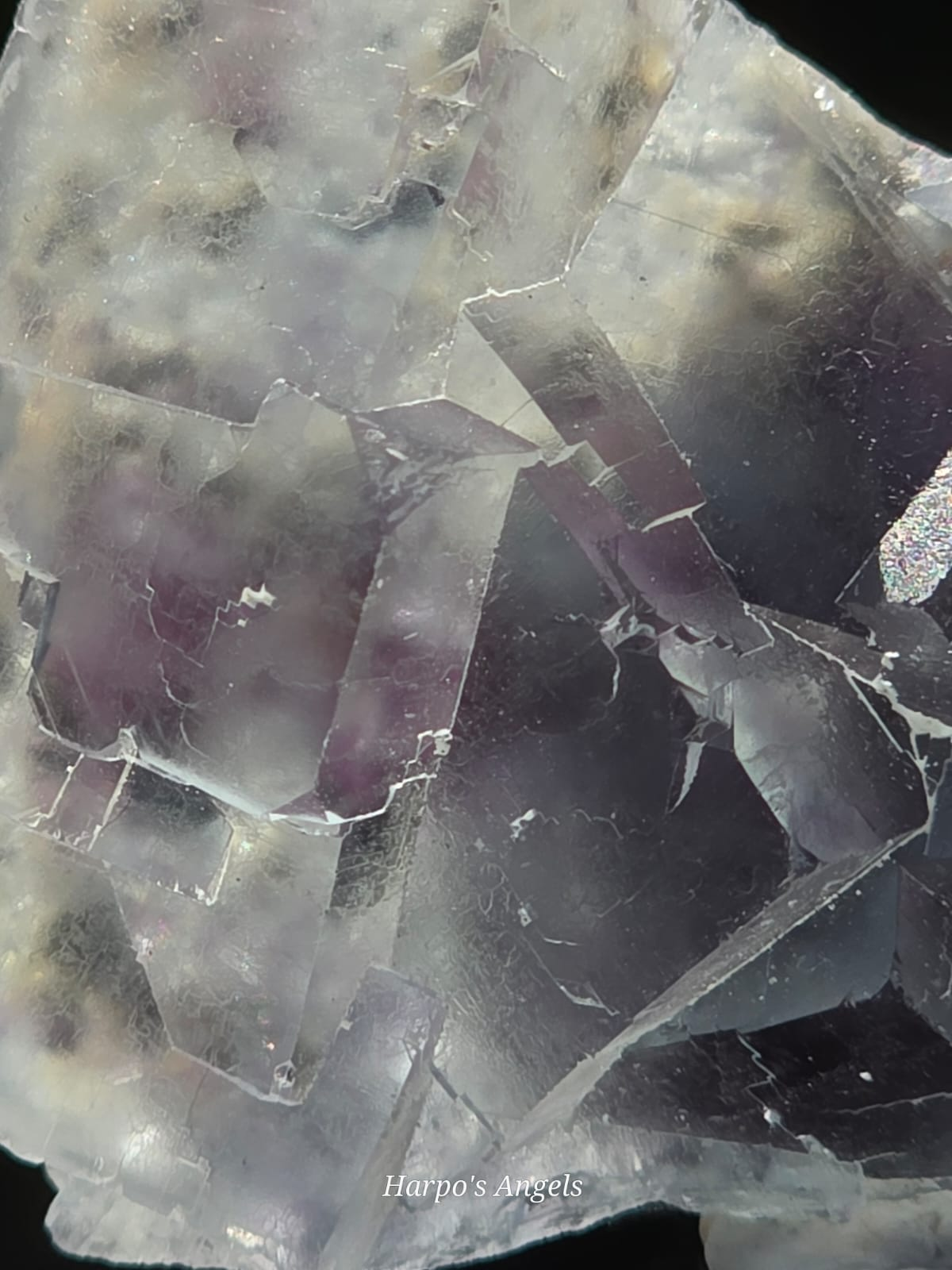 Blue & Purple Fluorite with Garden Inclusions Inner Mongolia