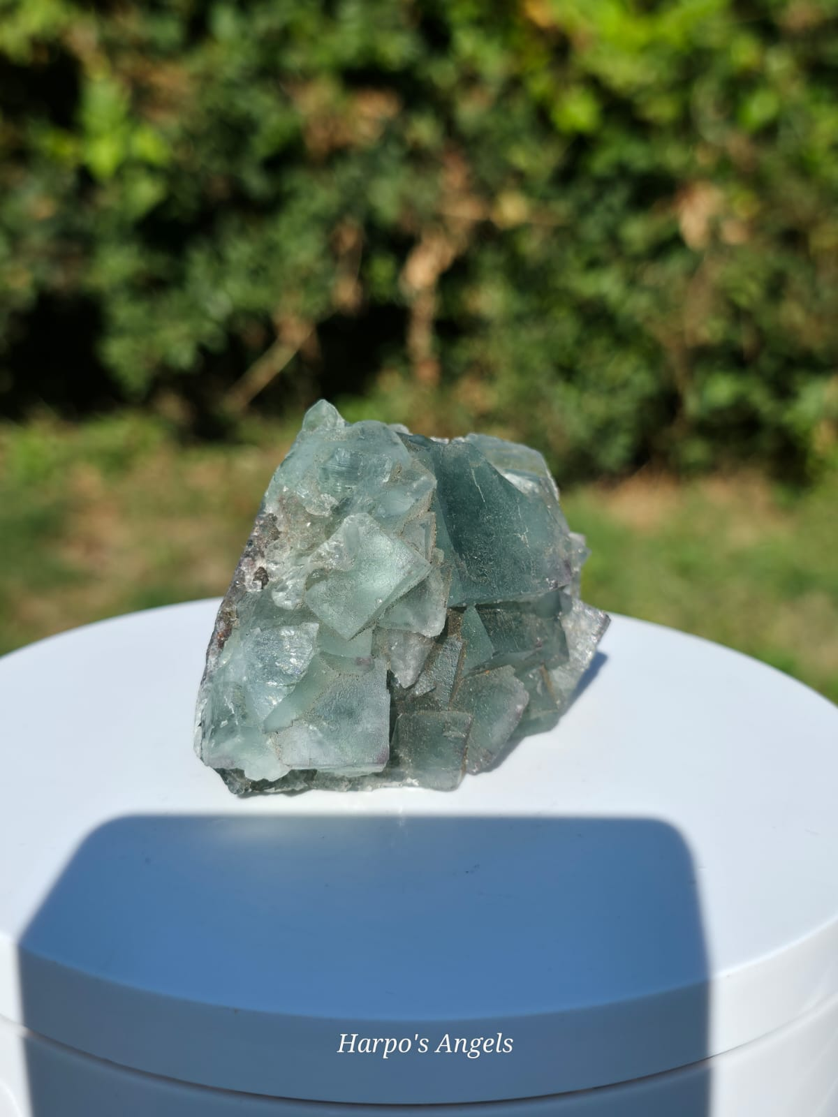 Okorusu Mint Green Fluorite Cluster