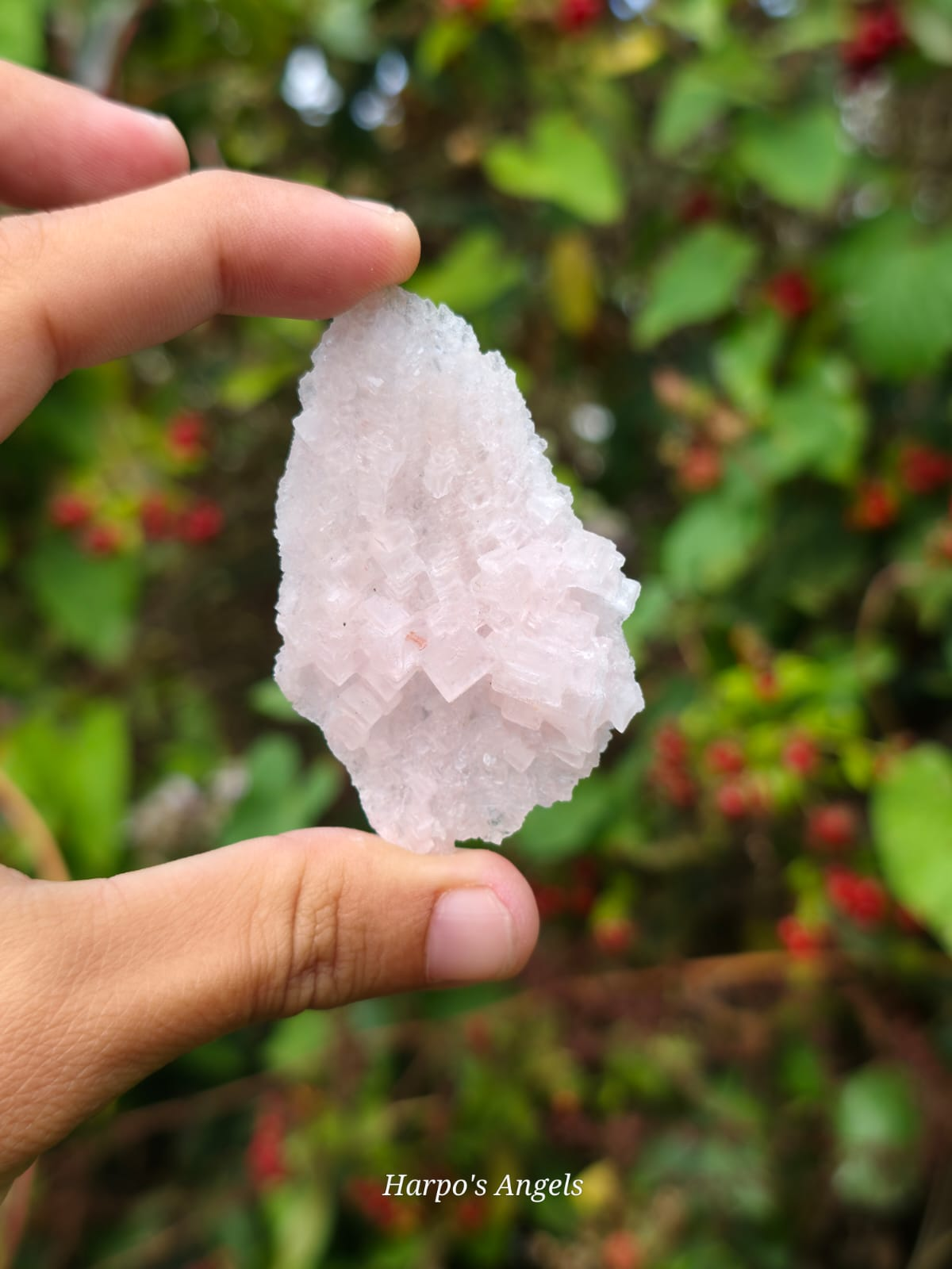 Pink Halite Crystal Cluster #4