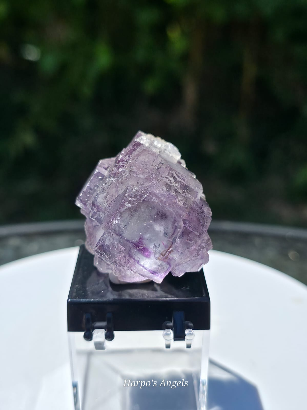 YGX Blue Fluorite with Purple Phantoms