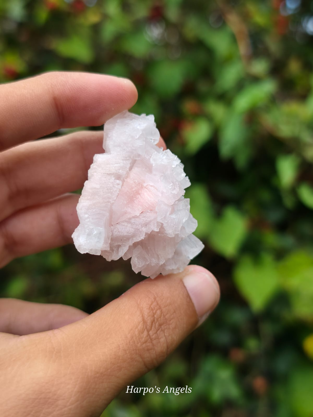 Pink Halite Crystal Cluster #3