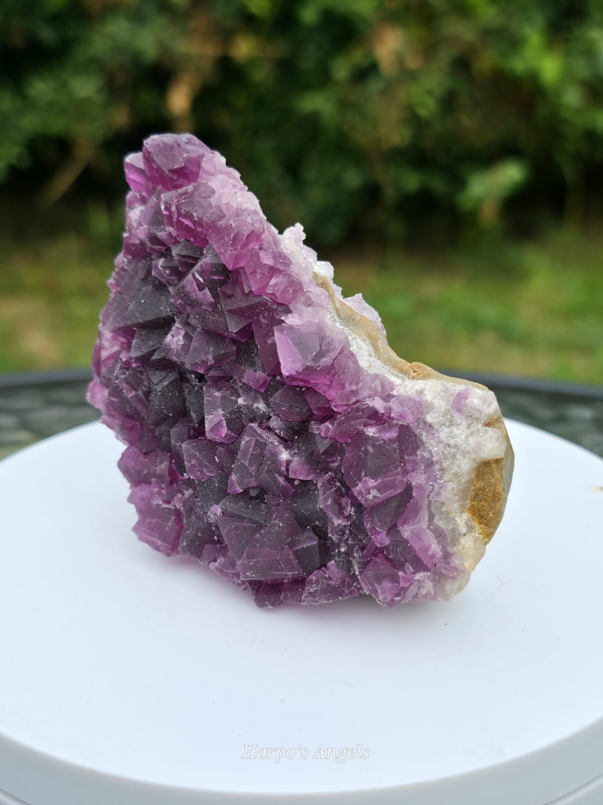 Purple Fluorite on Quartz Matrix
