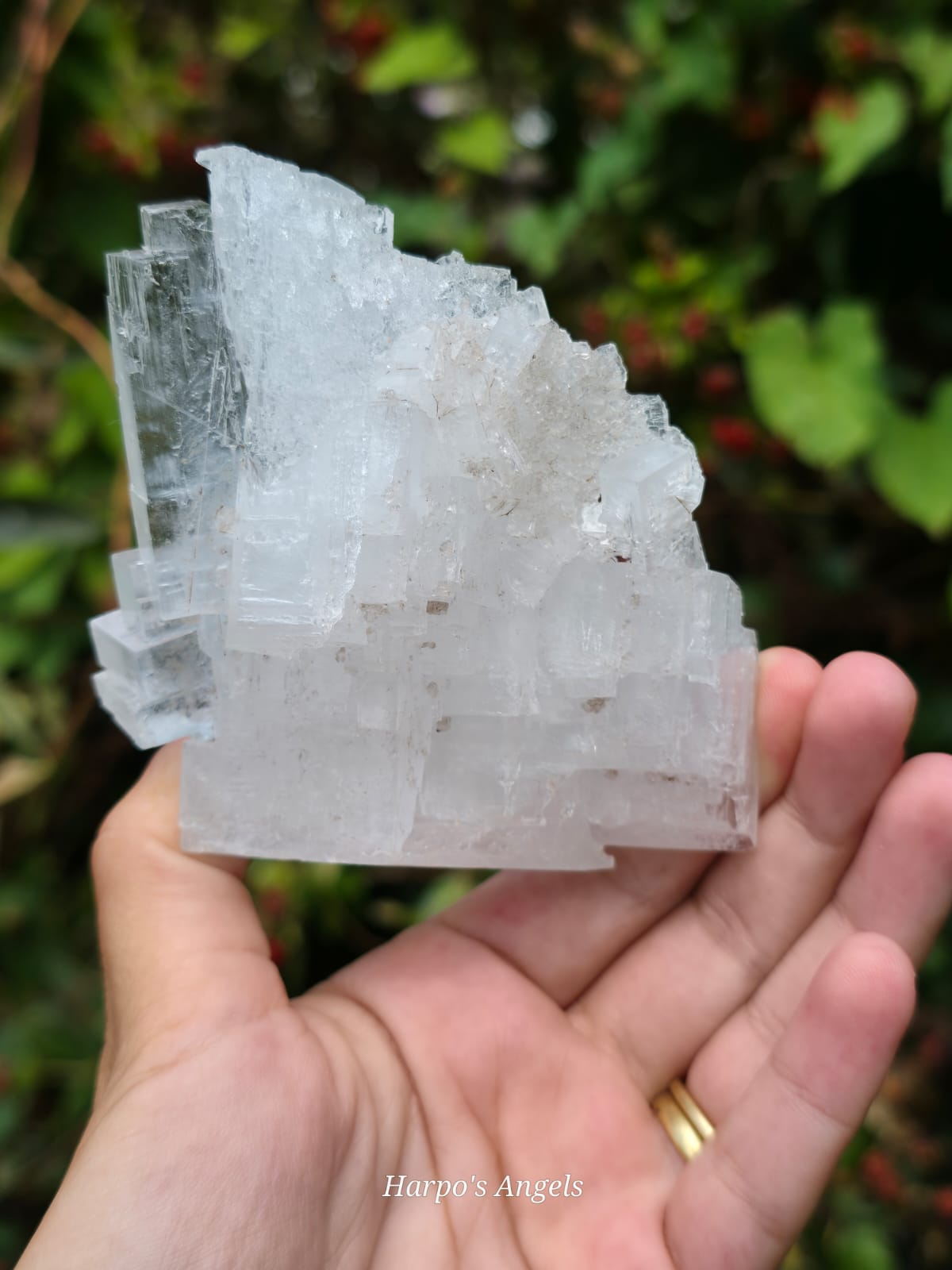 Clear Halite Cluster