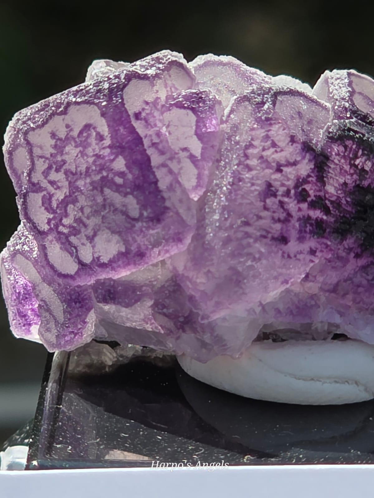 QR Code Fluorite