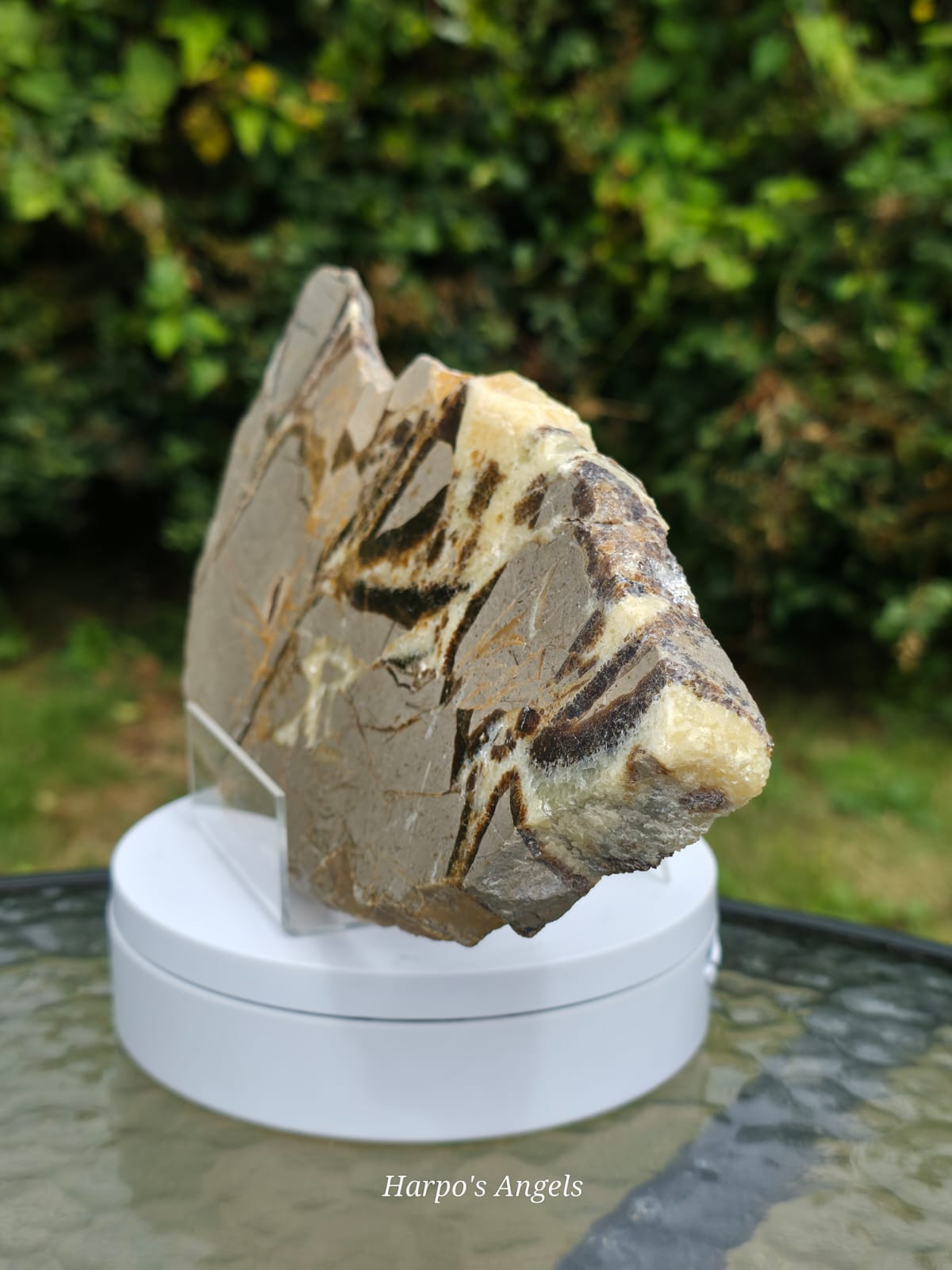 Septarian Slice