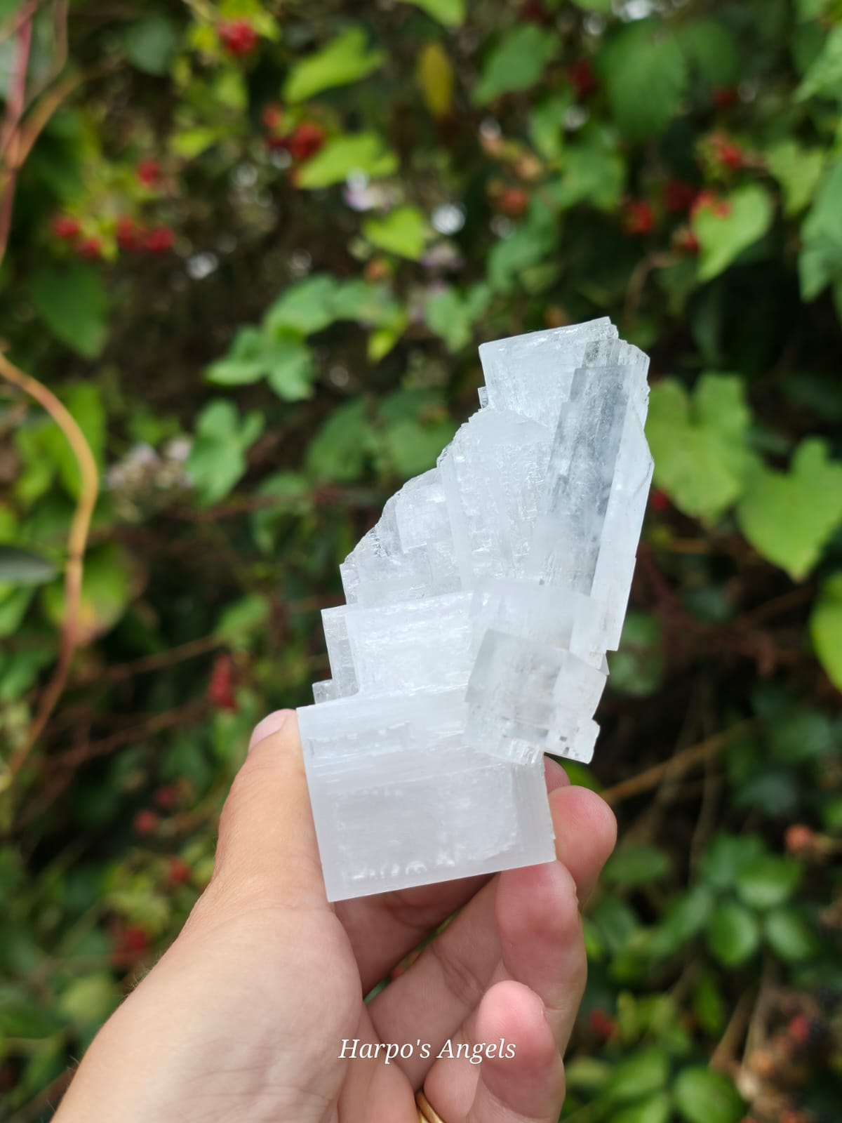 Clear Halite Cluster