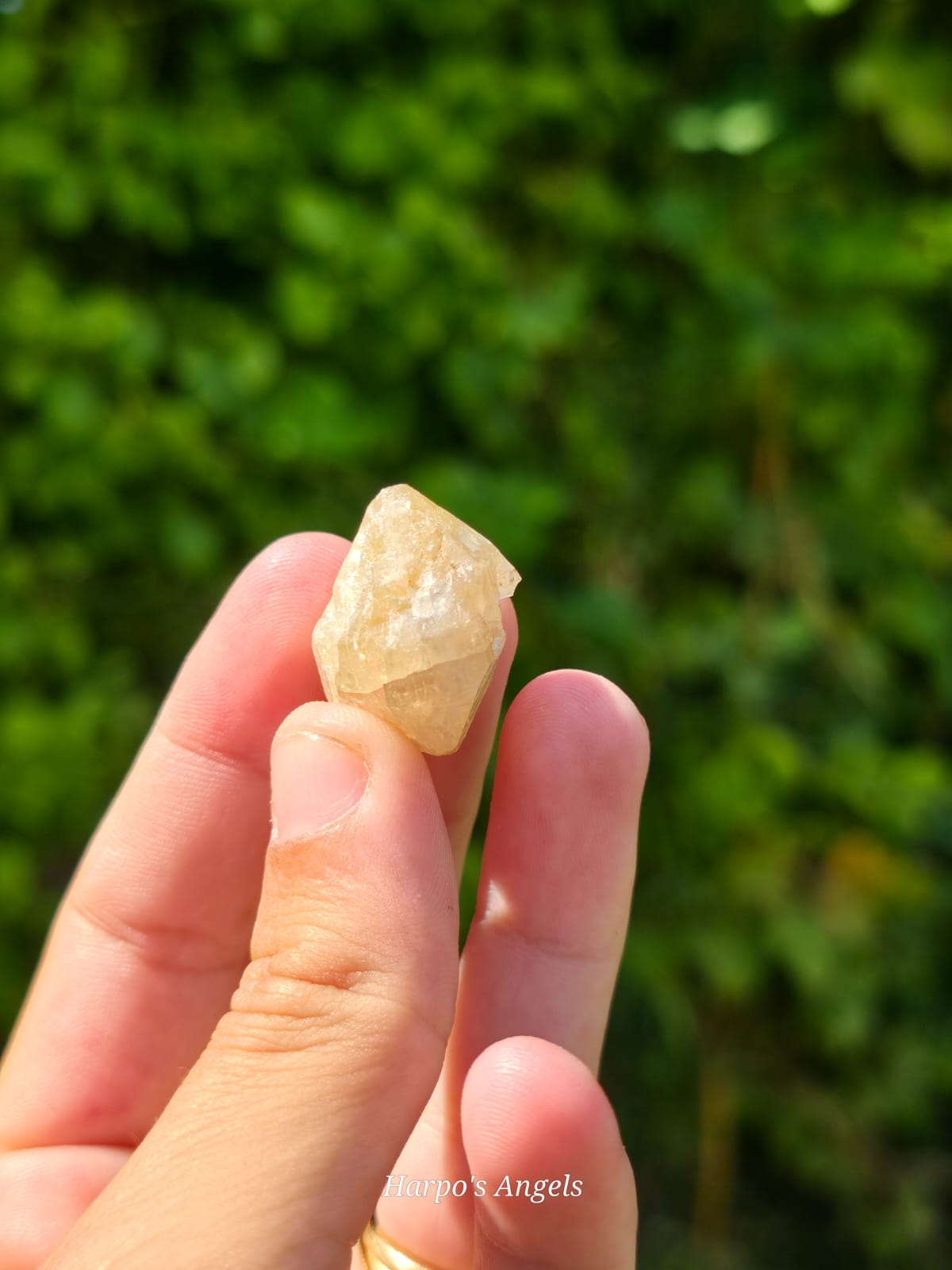 Cerussite Mineral Specimen