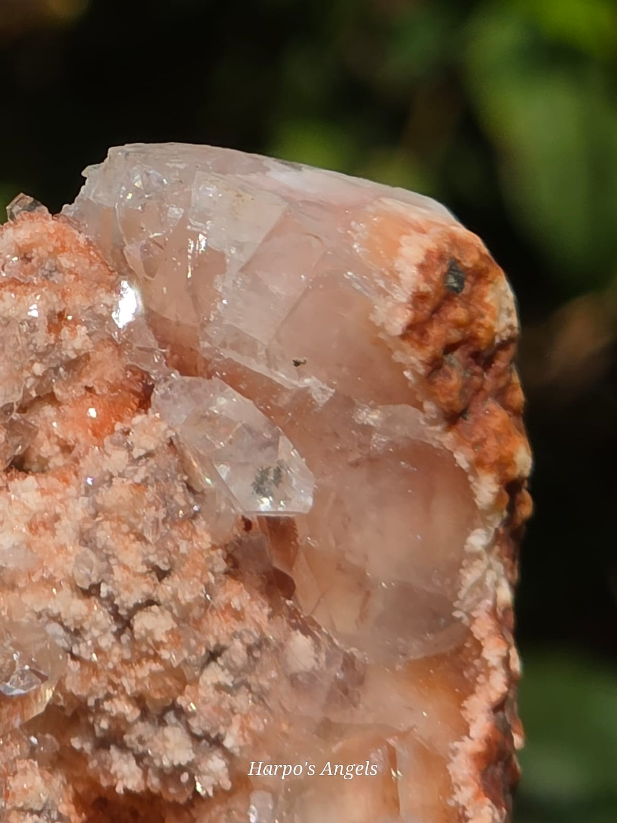 Peach & Clear Heulandite Crystal Specimen - India