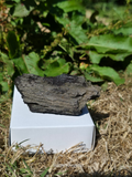 Sparkling Indonesian Fossilised Wood