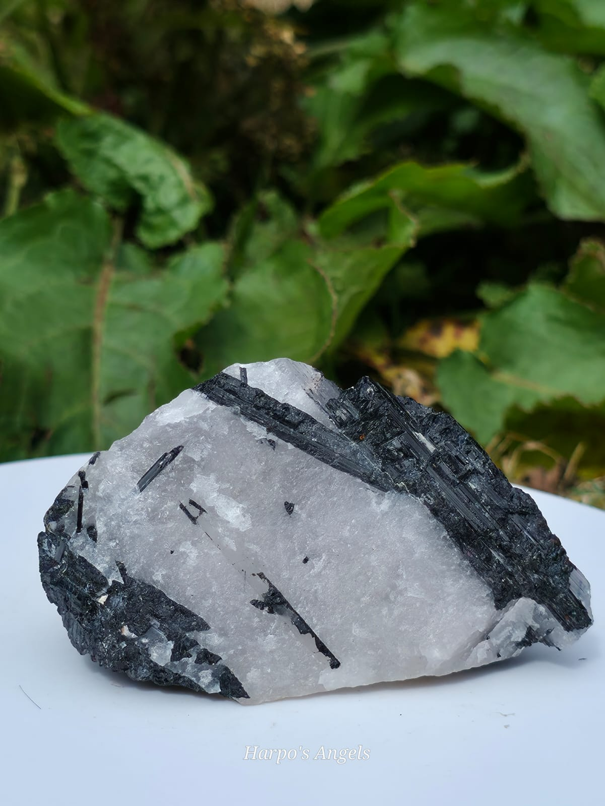 Natural Black Tourmaline in Quartz - Ex Collection Clusters