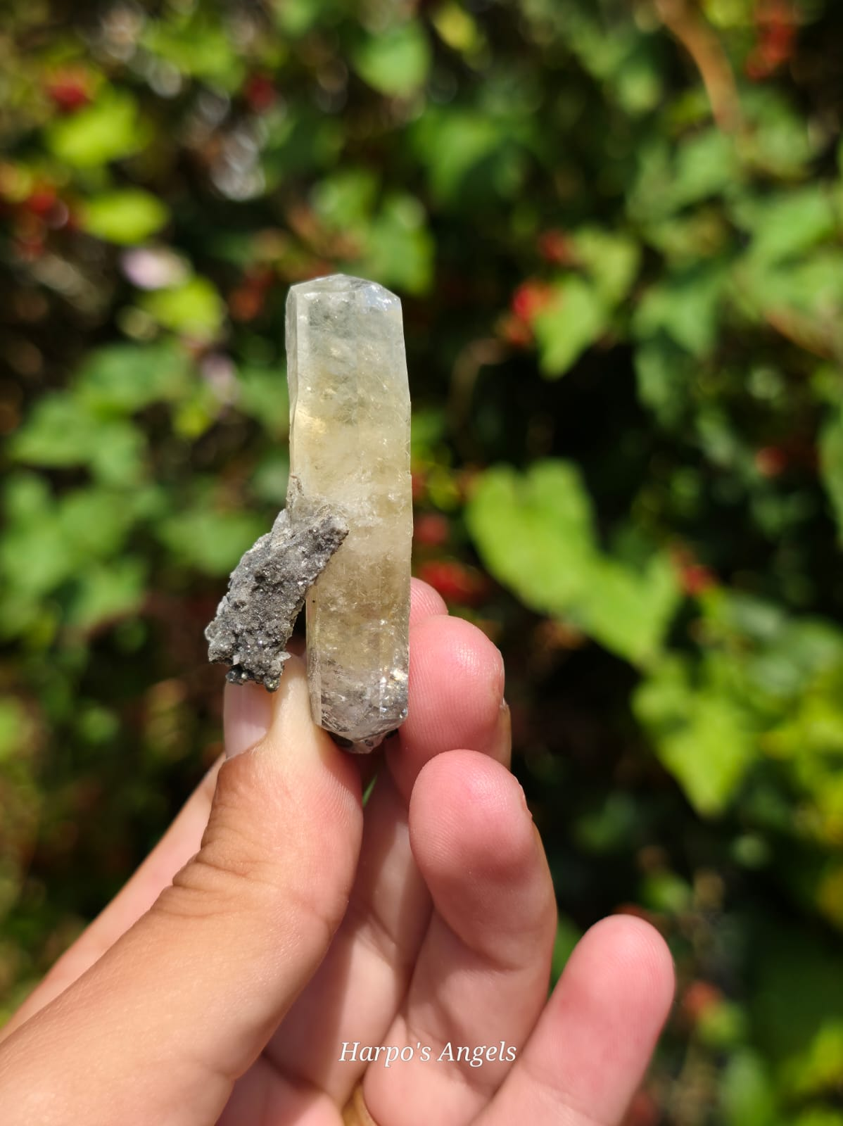 Dragon Scale Calcite Cluster #3