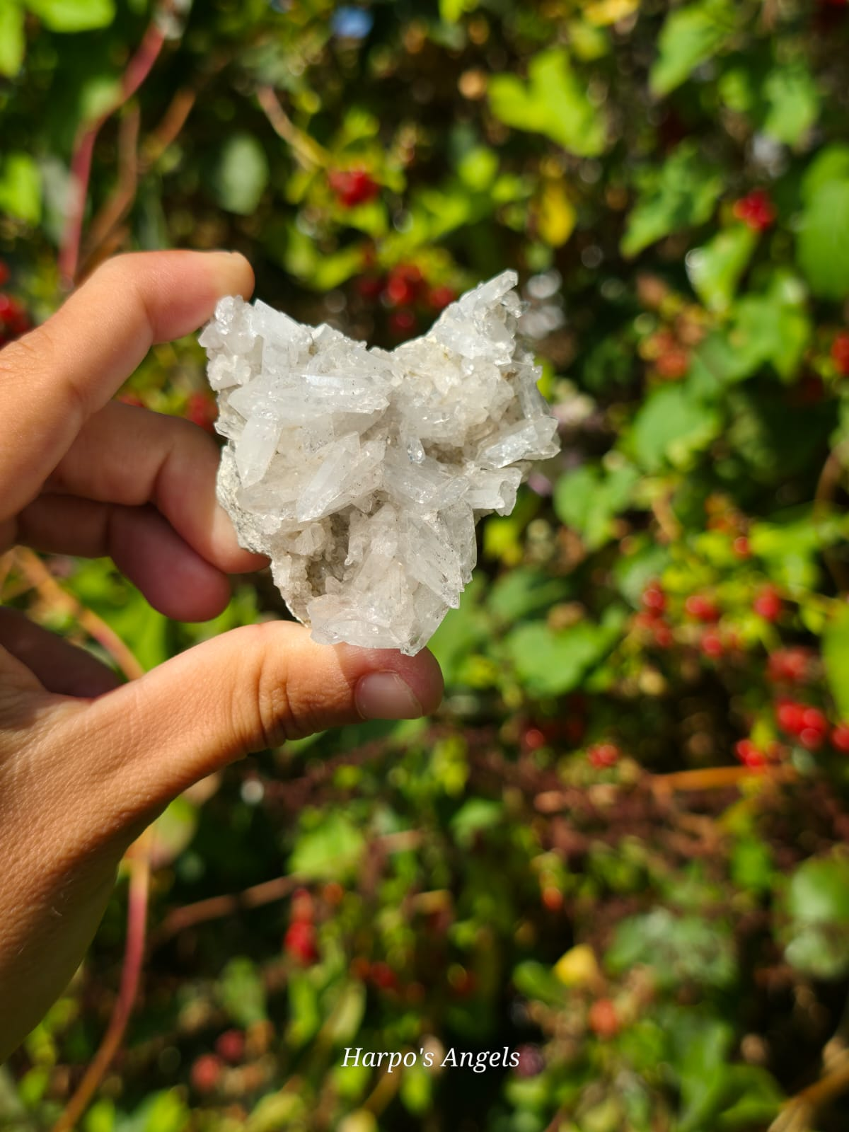 Faden Quartz Clusters - Balochistan