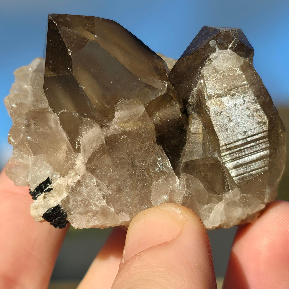 Smoky Quartz Cluster #3