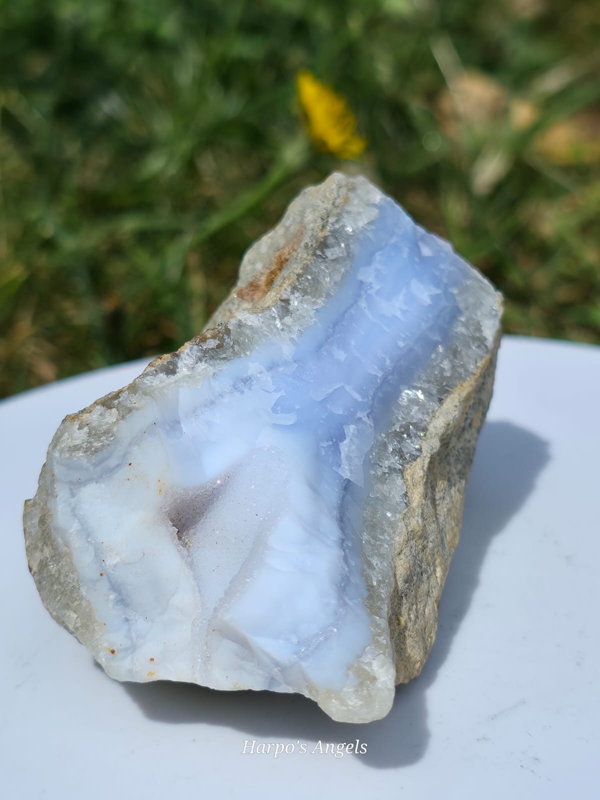 Blue Lace Agate Freeform