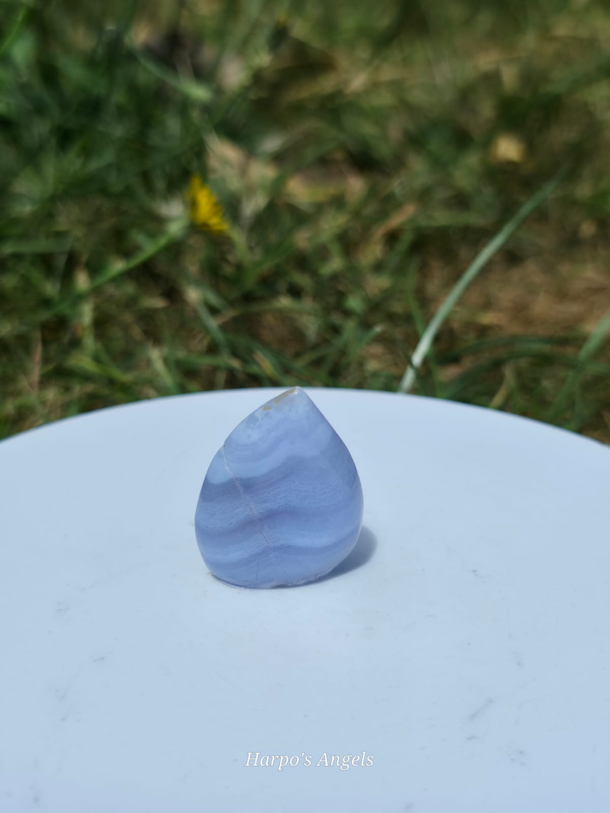 Blue Lace Agate Freeform Teardrops
