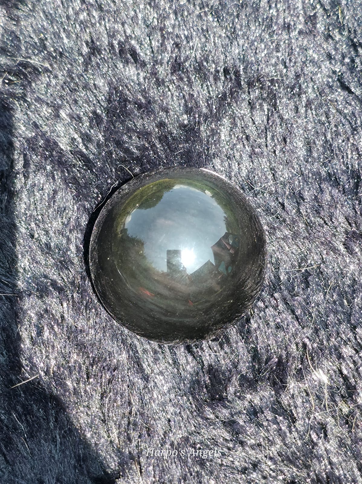 A polished black glass sphere resting on a textured gray faux fur surface, reflecting the outdoor environment inside its dome.