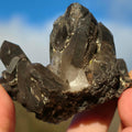 Smoky Quartz Cluster #2