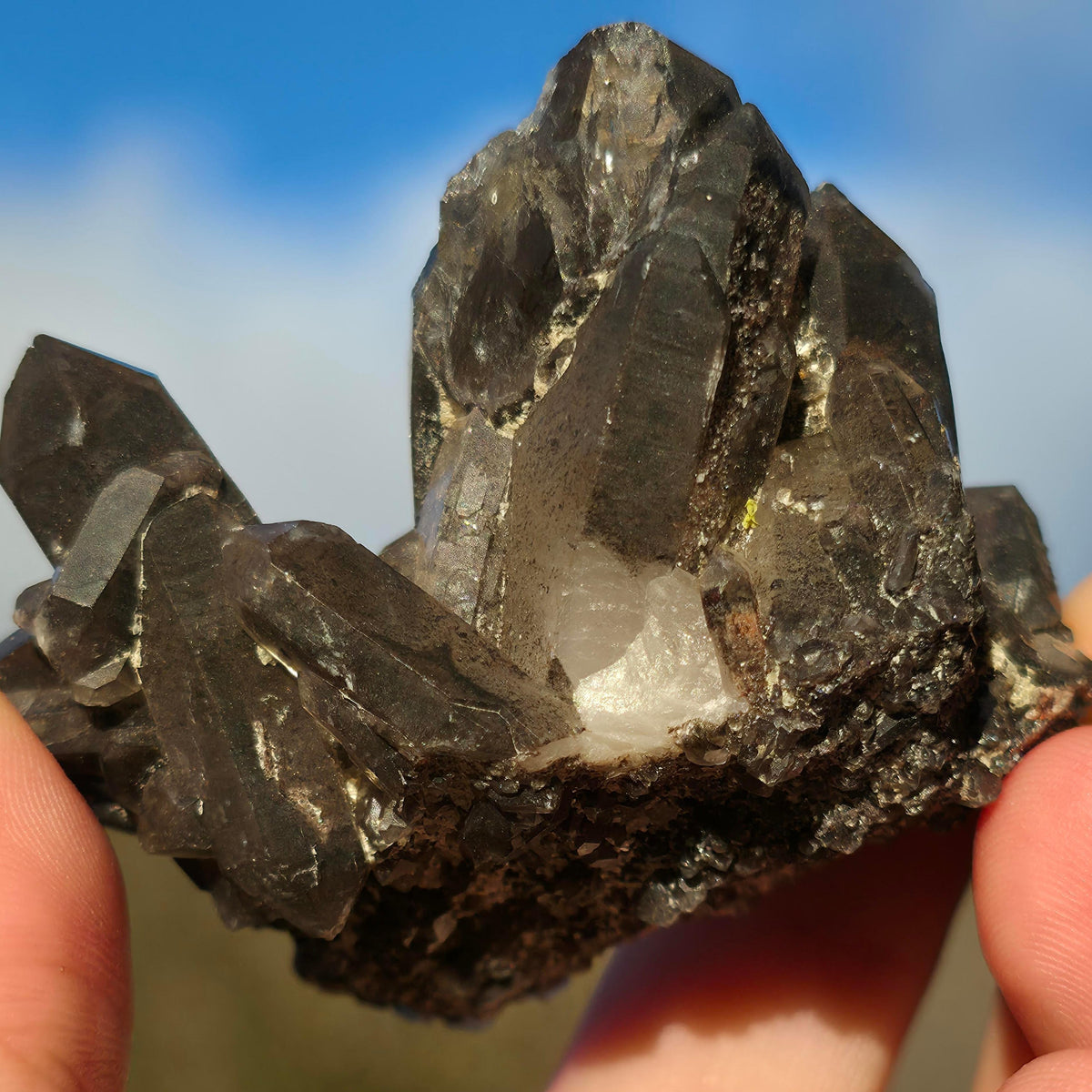 Smoky Quartz Cluster #2