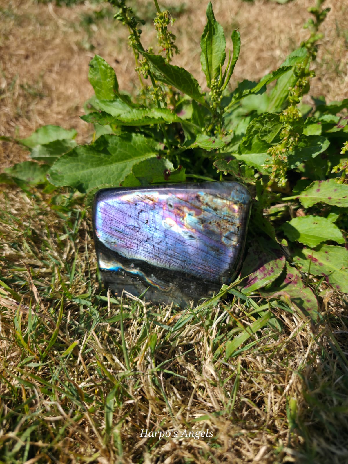 Madagascan Labradorite Freeforms