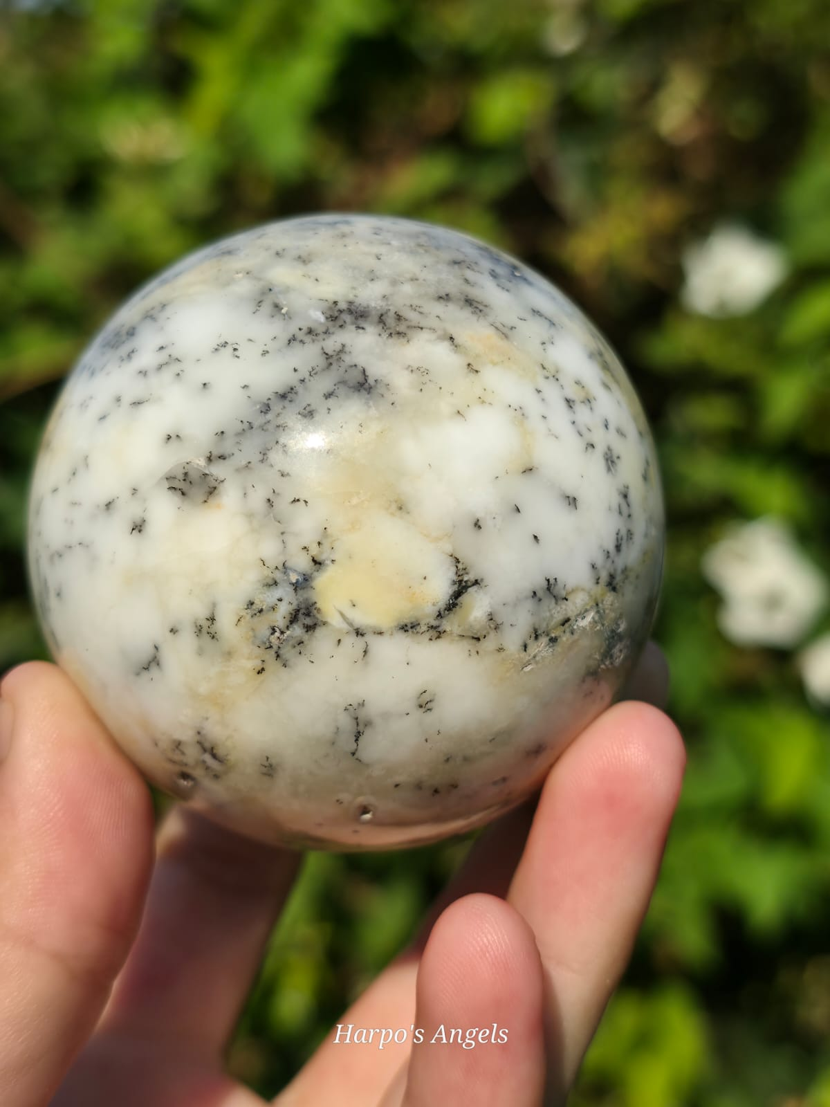 Dendritic Chalcedony Sphere
