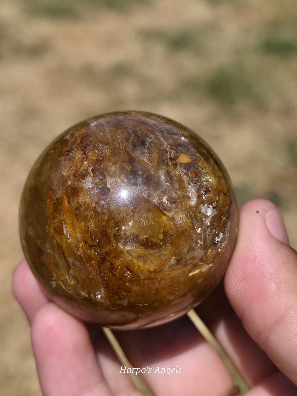 Golden Healer Sphere #1