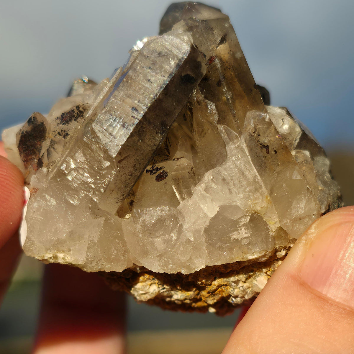 Smoky Quartz Cluster #1
