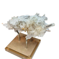 Petroleum Quartz Cluster on Display Stand