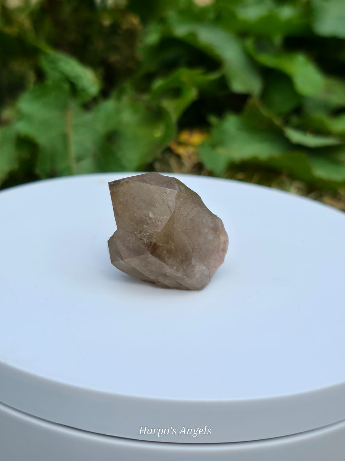 Natural Kundalini Citrine Points