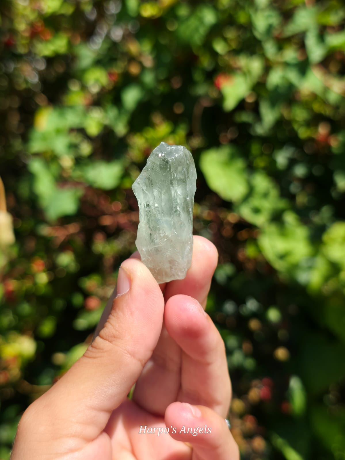 Natural Prasiolite (Green Amethyst) Specimens