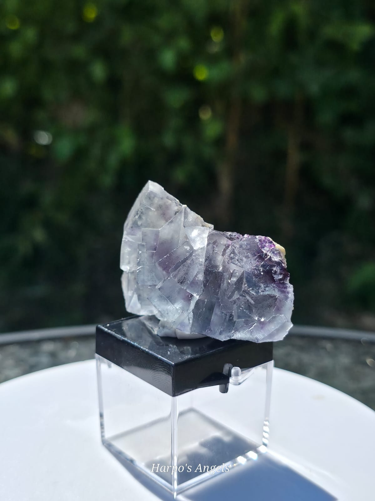 Blue & Purple Fluorite with Garden Inclusions Inner Mongolia