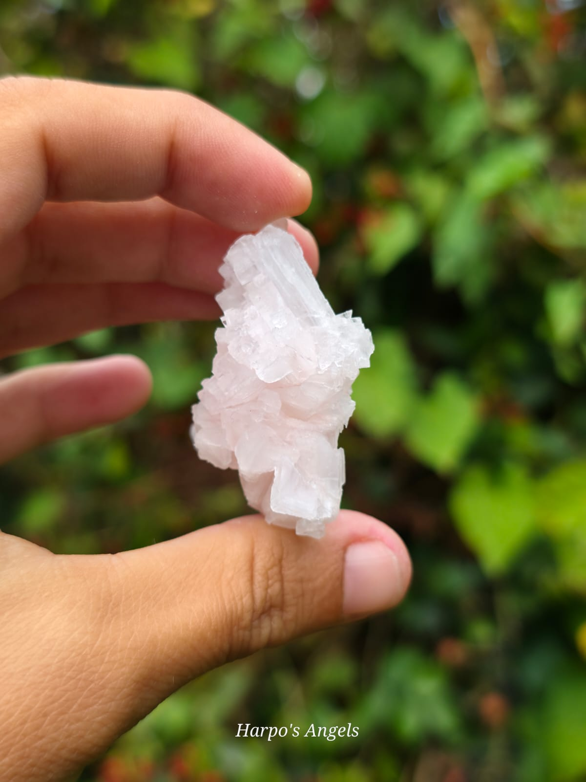 Pink Halite Crystal Cluster #3