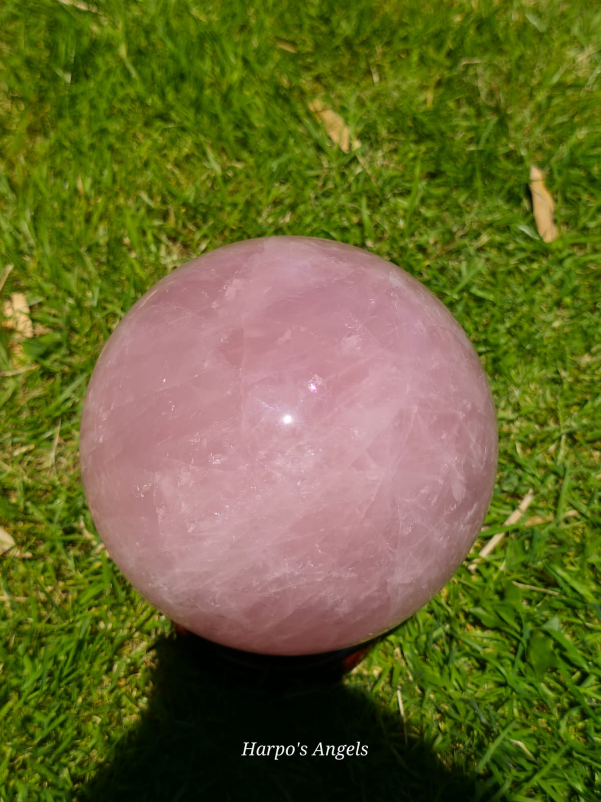Madagascar Rose Quartz Star Sphere