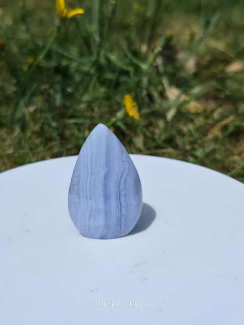 Blue Lace Agate Freeform Teardrops