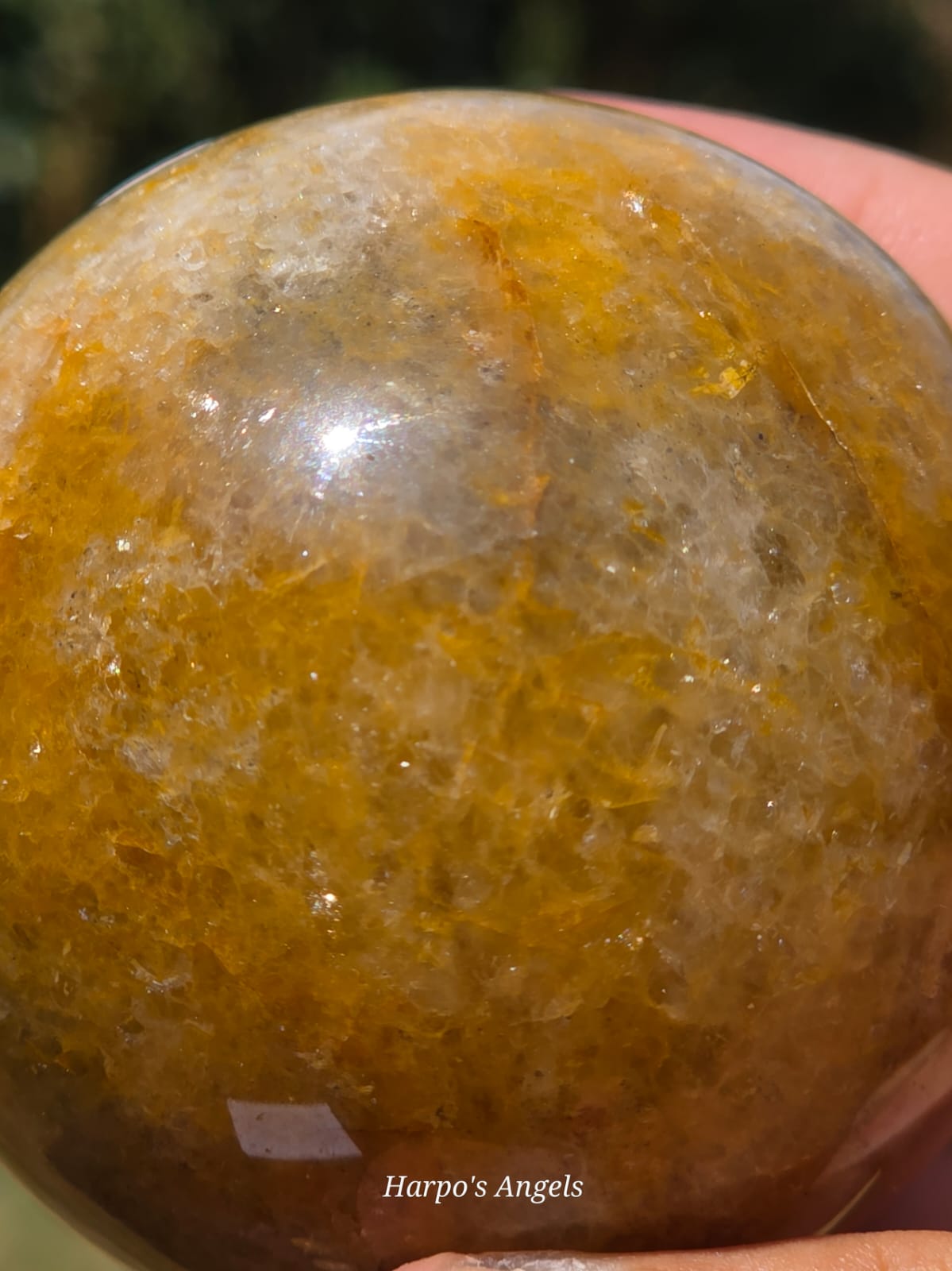 Golden Healer Sphere #2