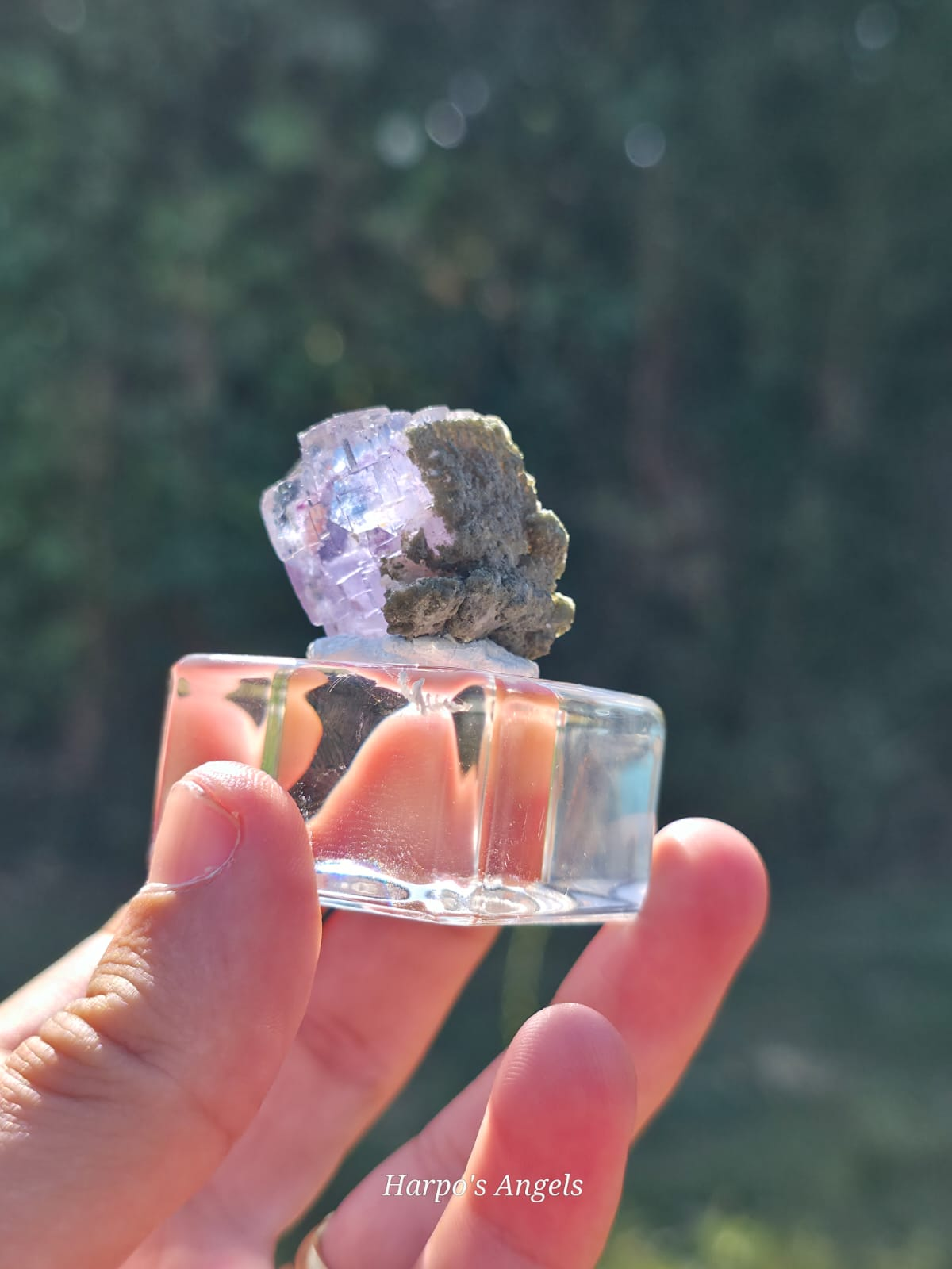 YGX Fluorite - Blue & Purple Phantom