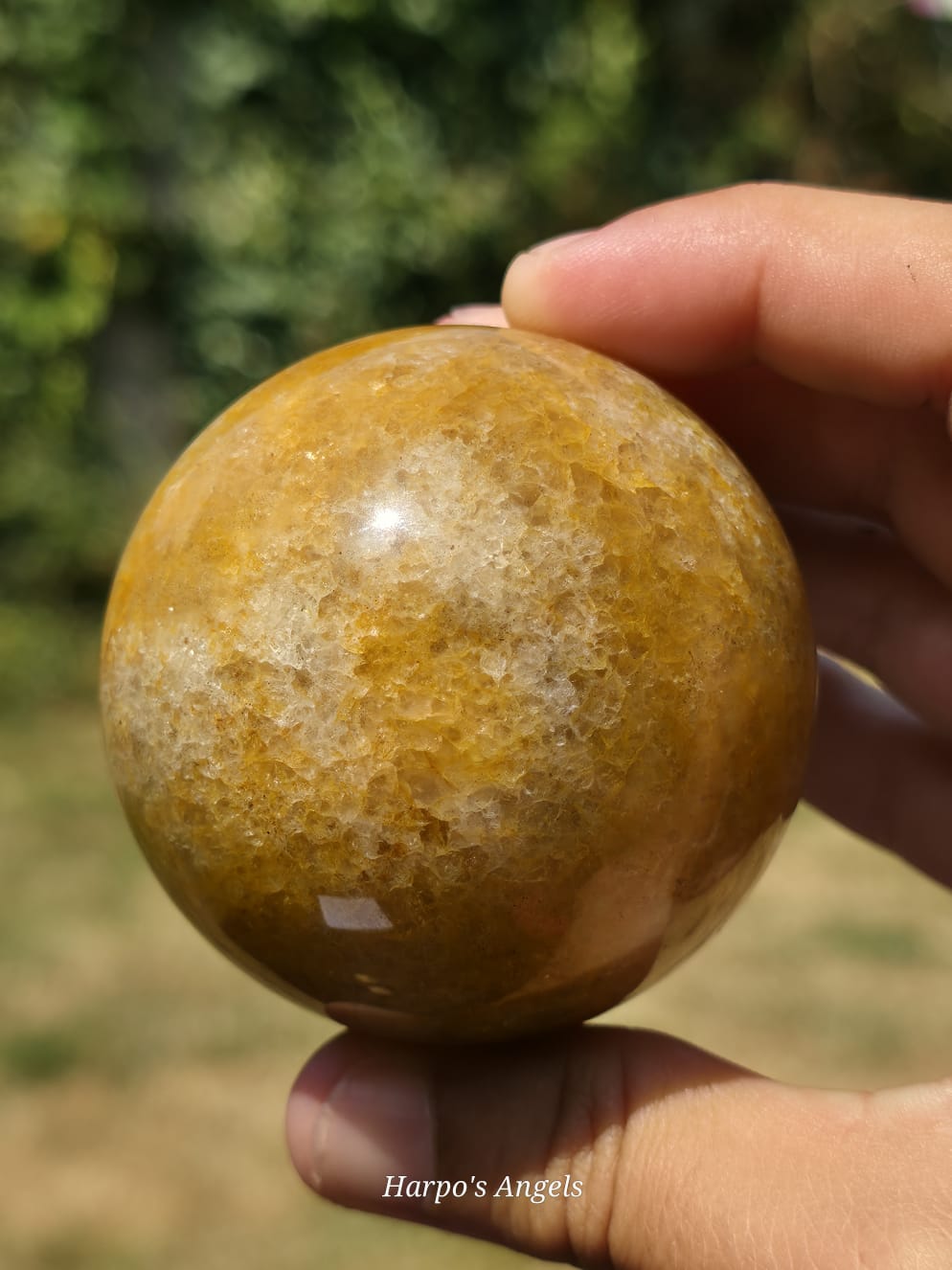 Golden Healer Sphere #2
