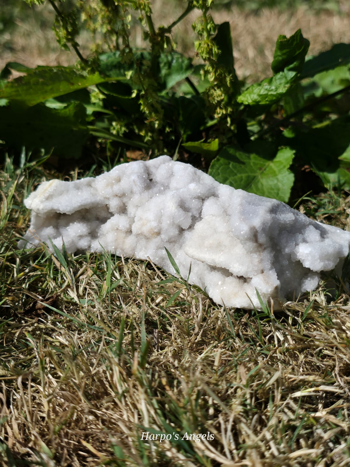 White Druzy Quartz Specimen - Ex Collection