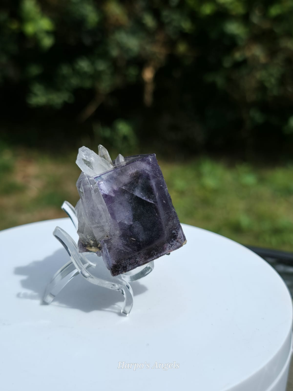 Purple YGX Fluorite with Needle Quartz & Rutile