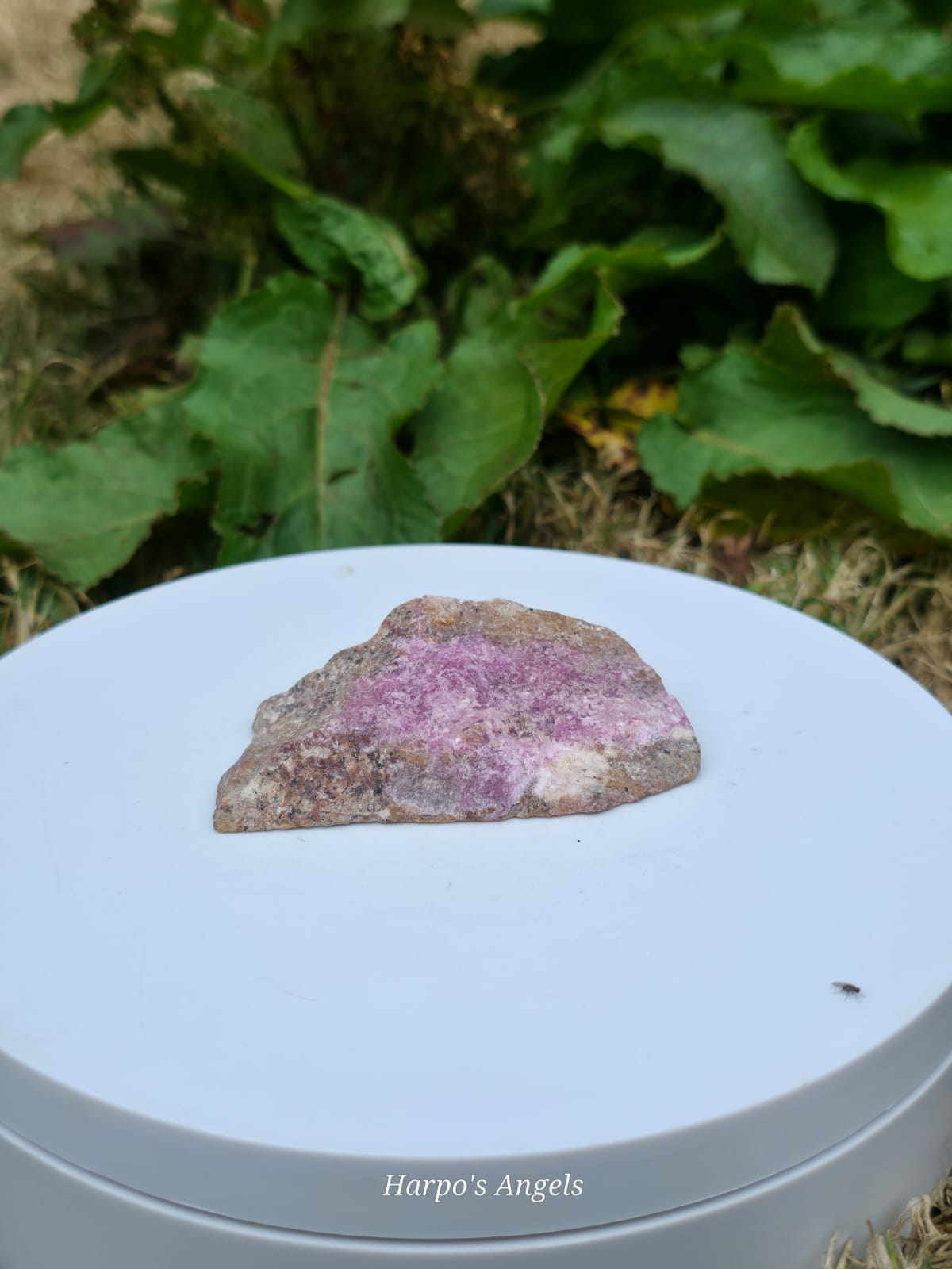 Cobalto Calcite Specimens