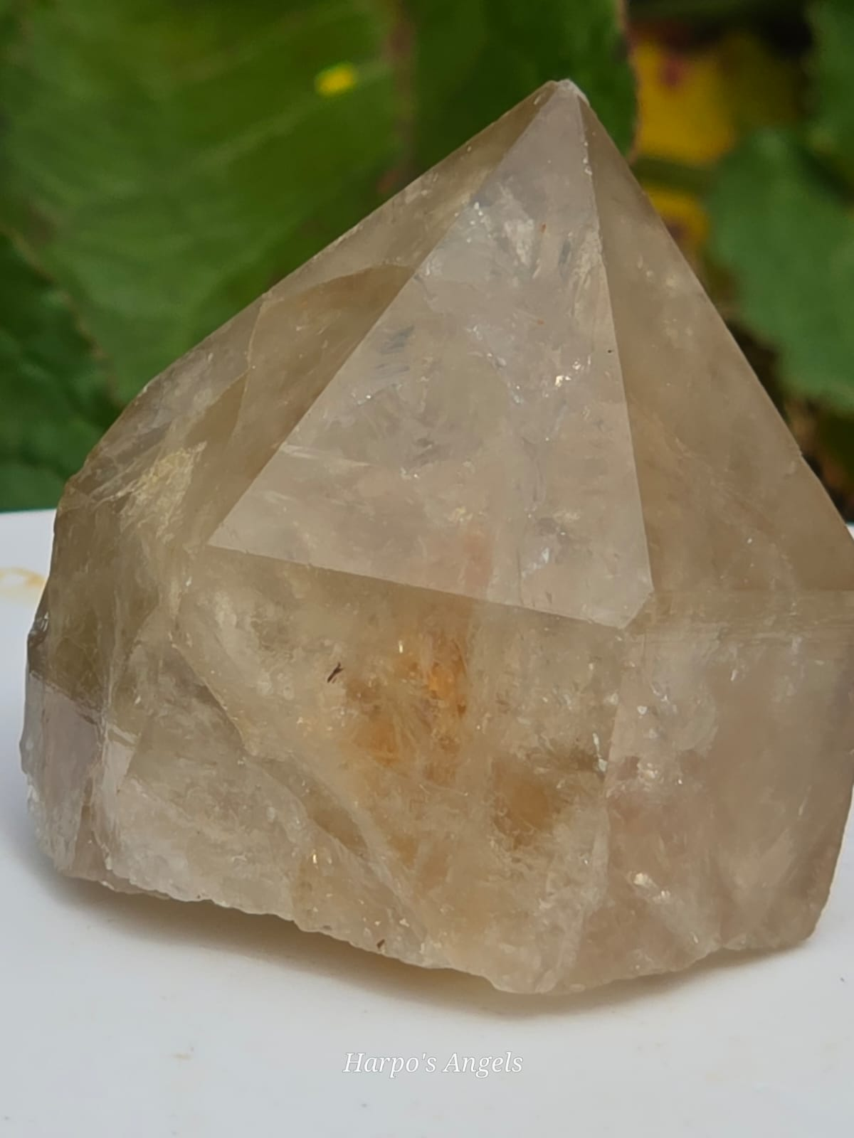 Natural Kundalini Citrine Points