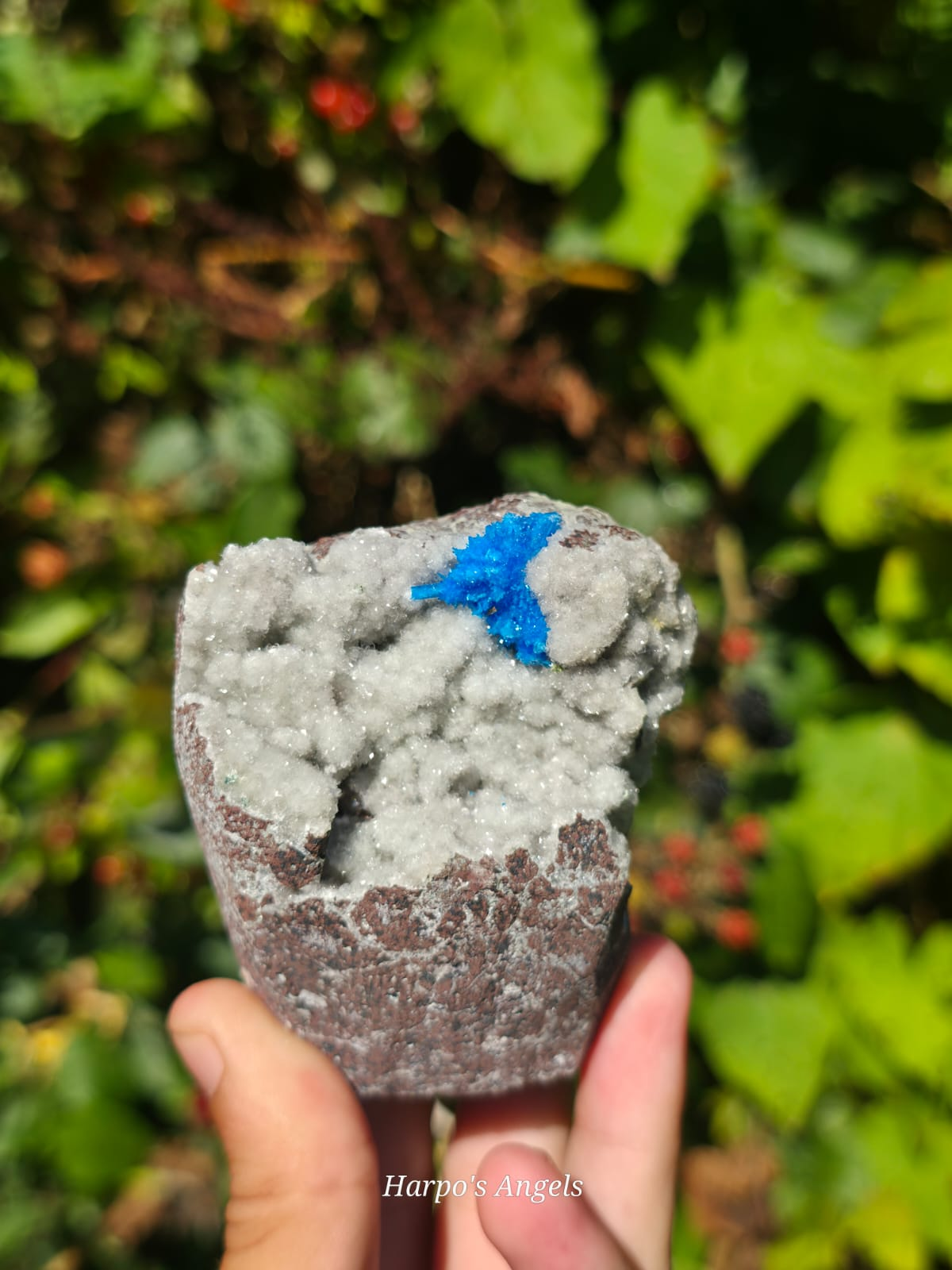 Cavansite on Stilbite Matrix (Pune India)