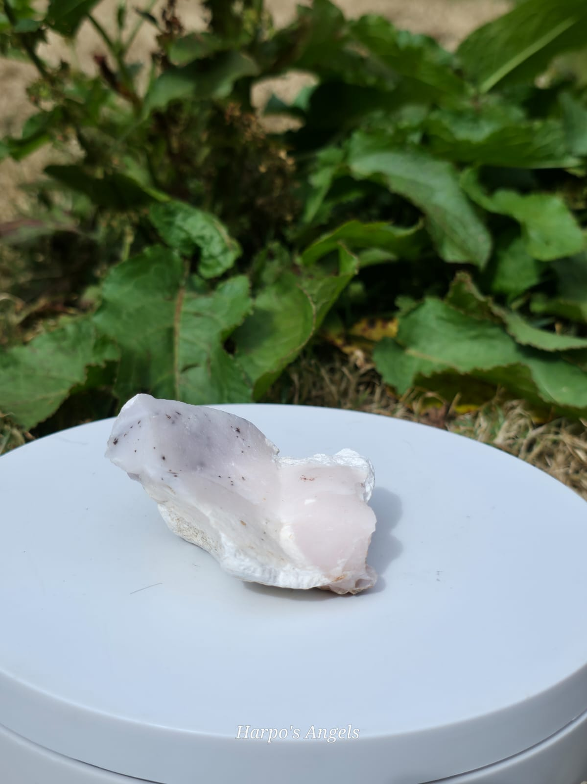 Natural Raw Pink Opal Clusters - Ex Collection
