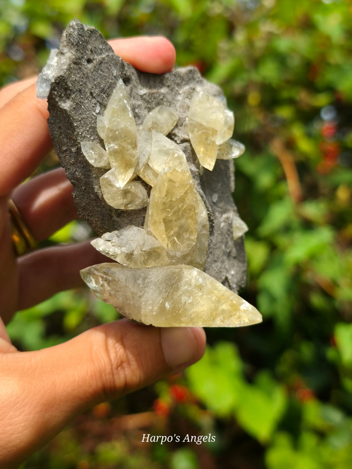 Dragon Scale Calcite Cluster #2