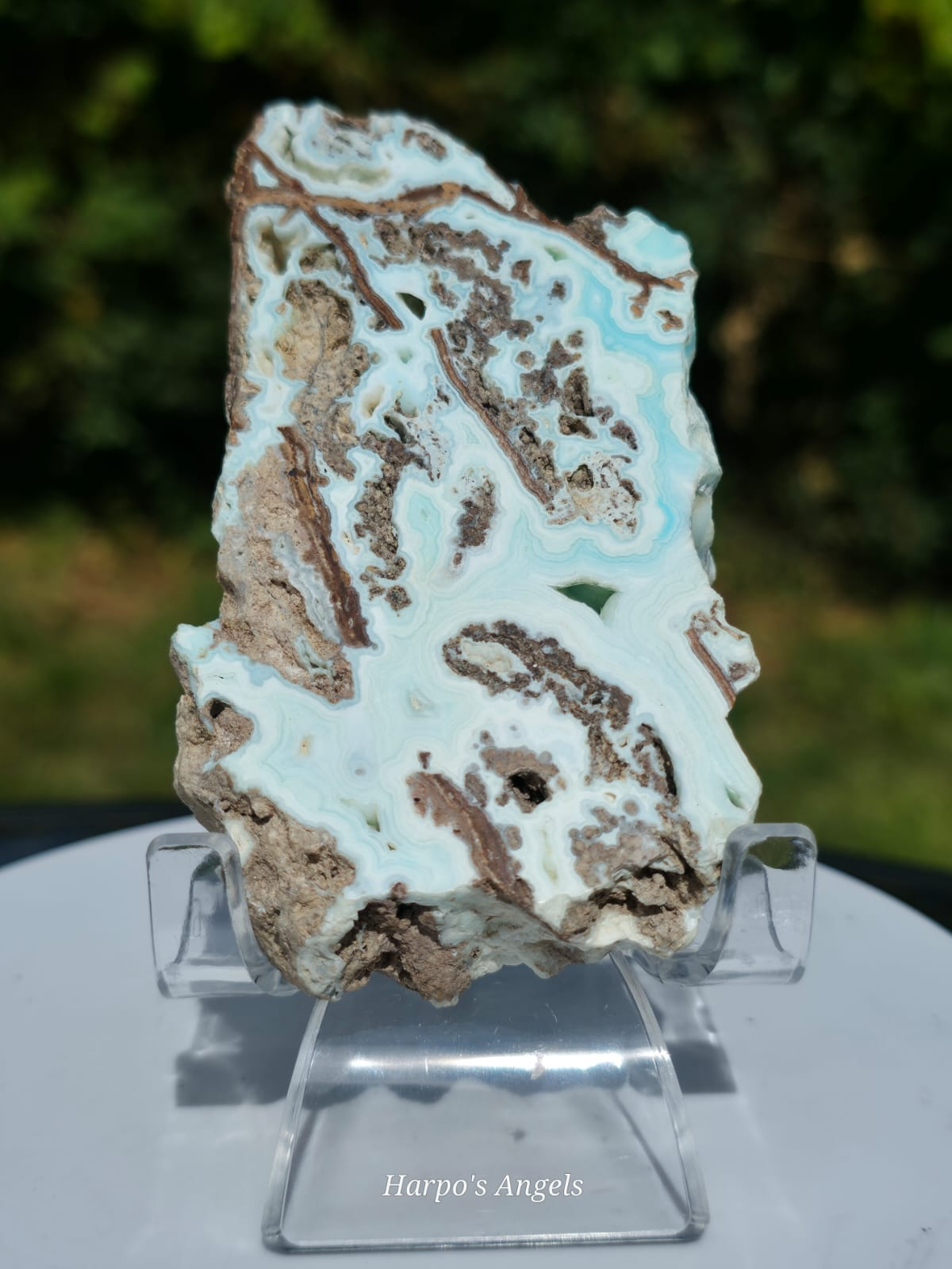 Caribbean Calcite Slice #2