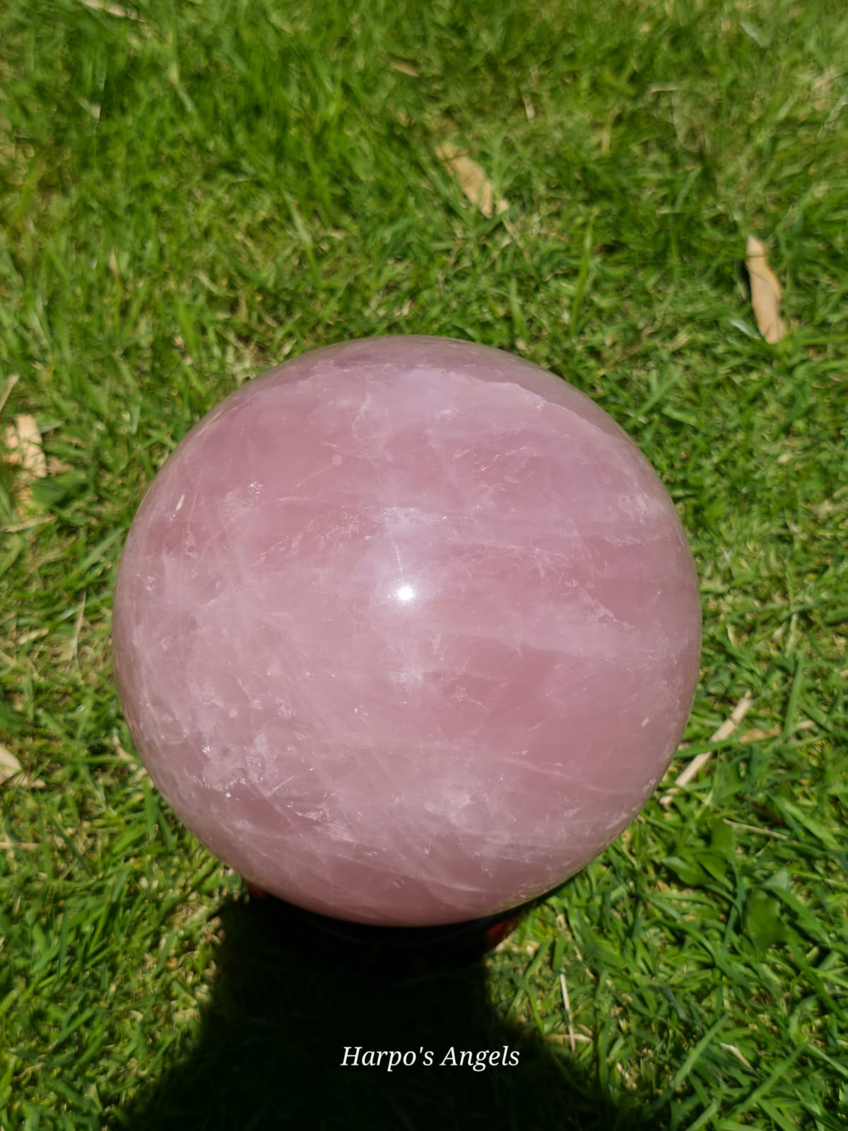 Madagascar Rose Quartz Star Sphere
