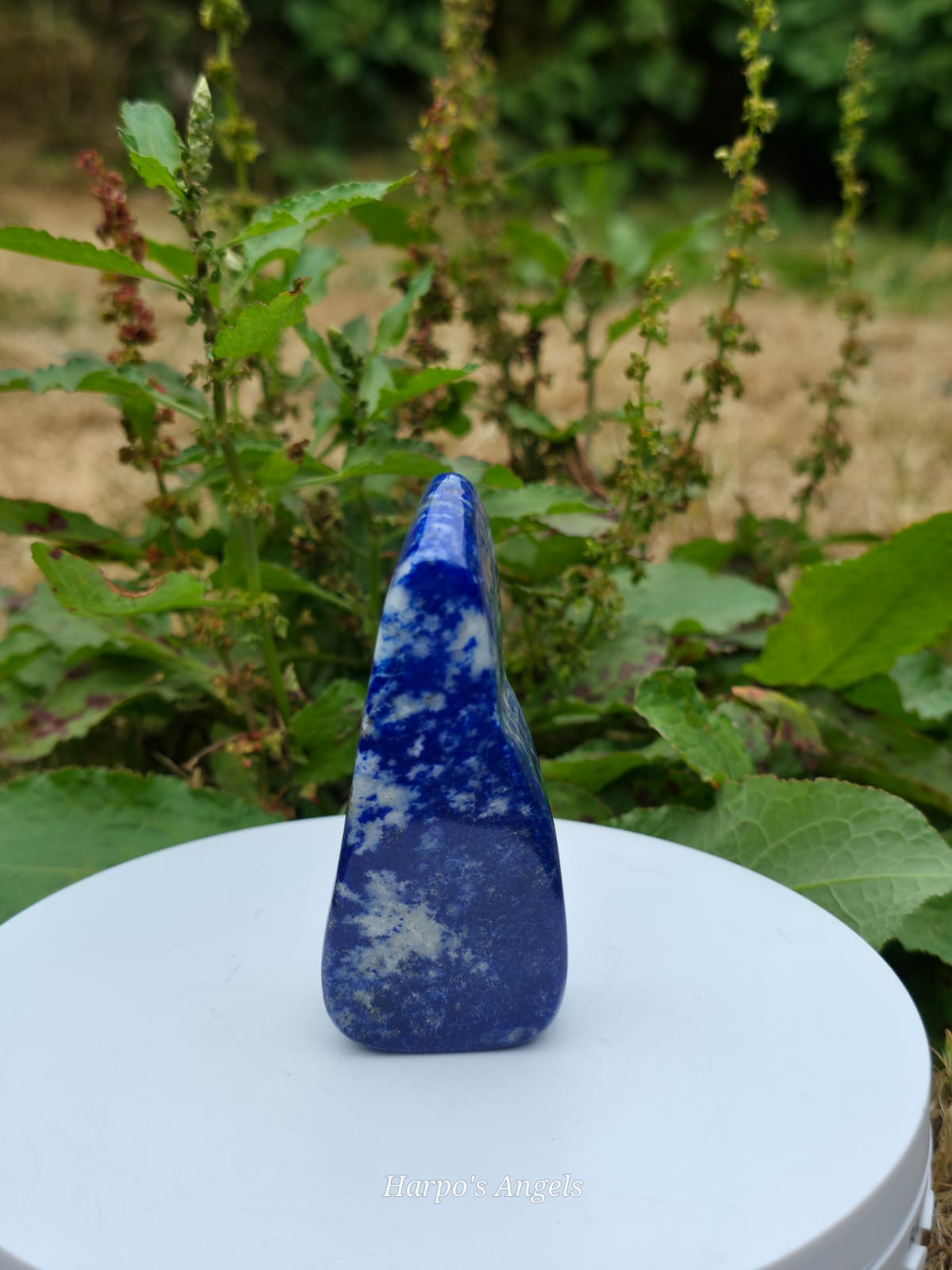Lapis Lazuli Freeform