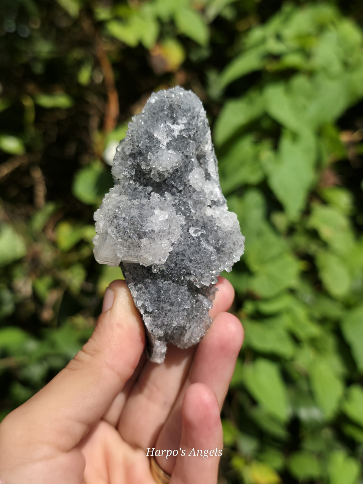 Clear Heulandite Crystal Specimen - India | No. 1