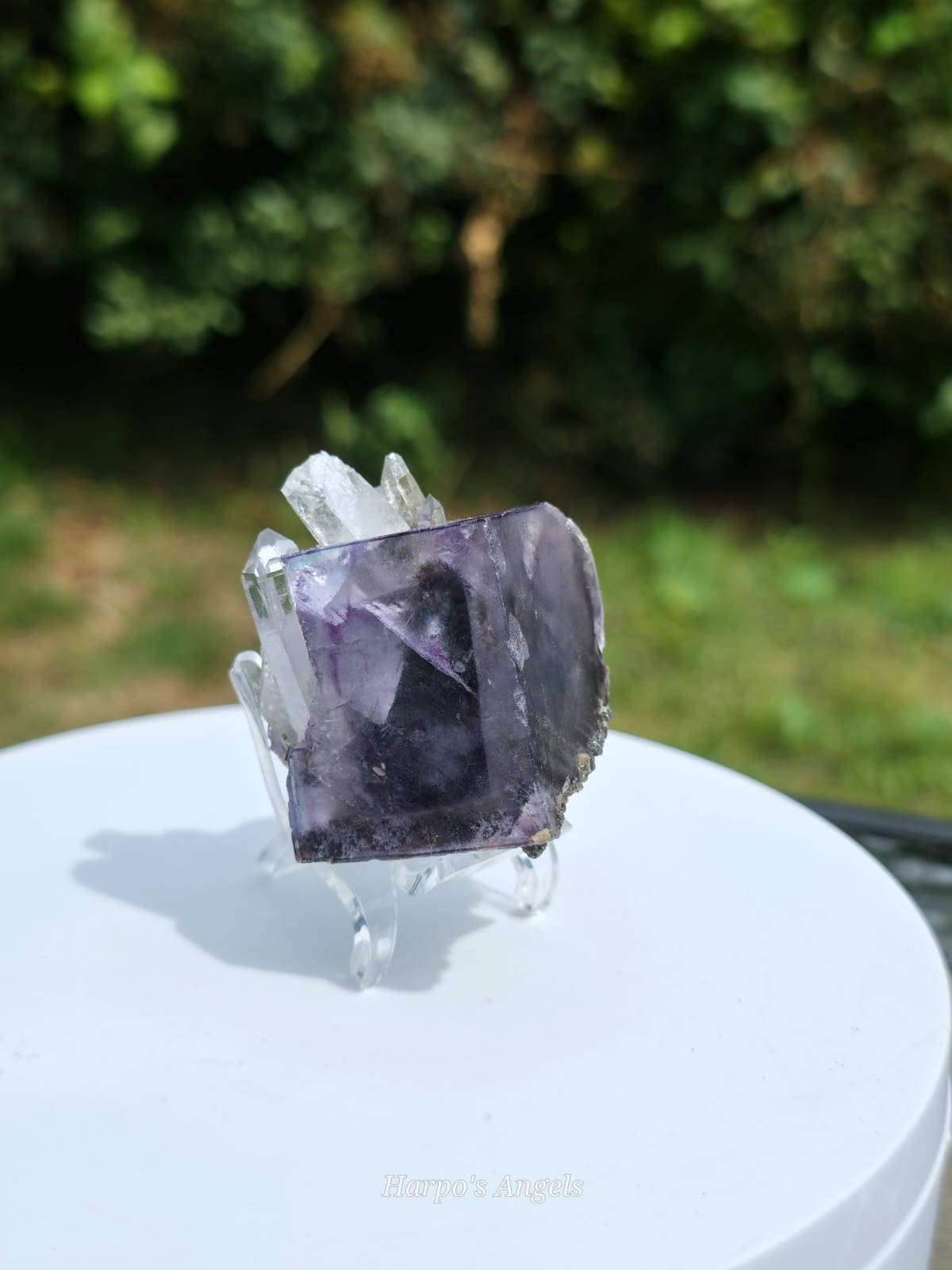 Purple YGX Fluorite with Needle Quartz & Rutile