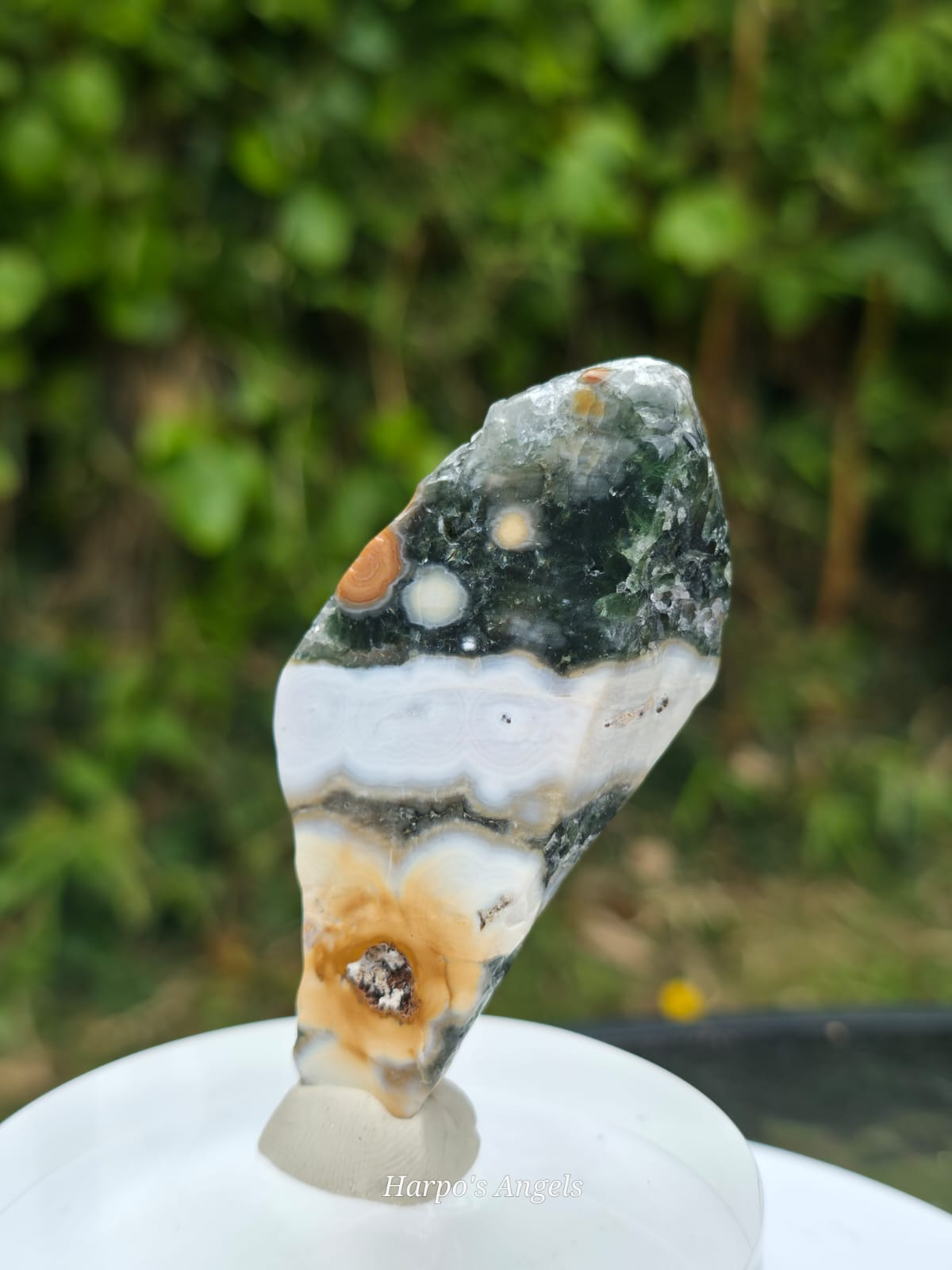 Orbicular Jasper Freeforms