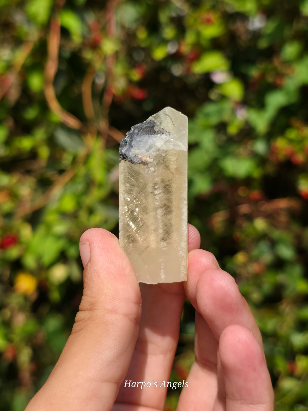 Column Calcite Specimen Jinhua